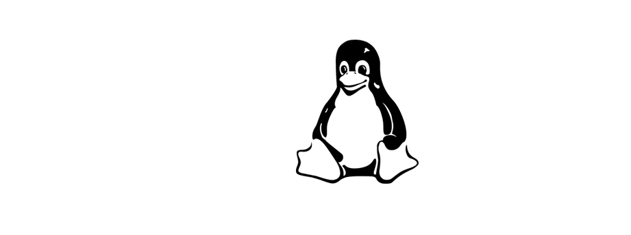 <p>Budget Shared Linux Web Hosting<br />At Affordable Price</p>